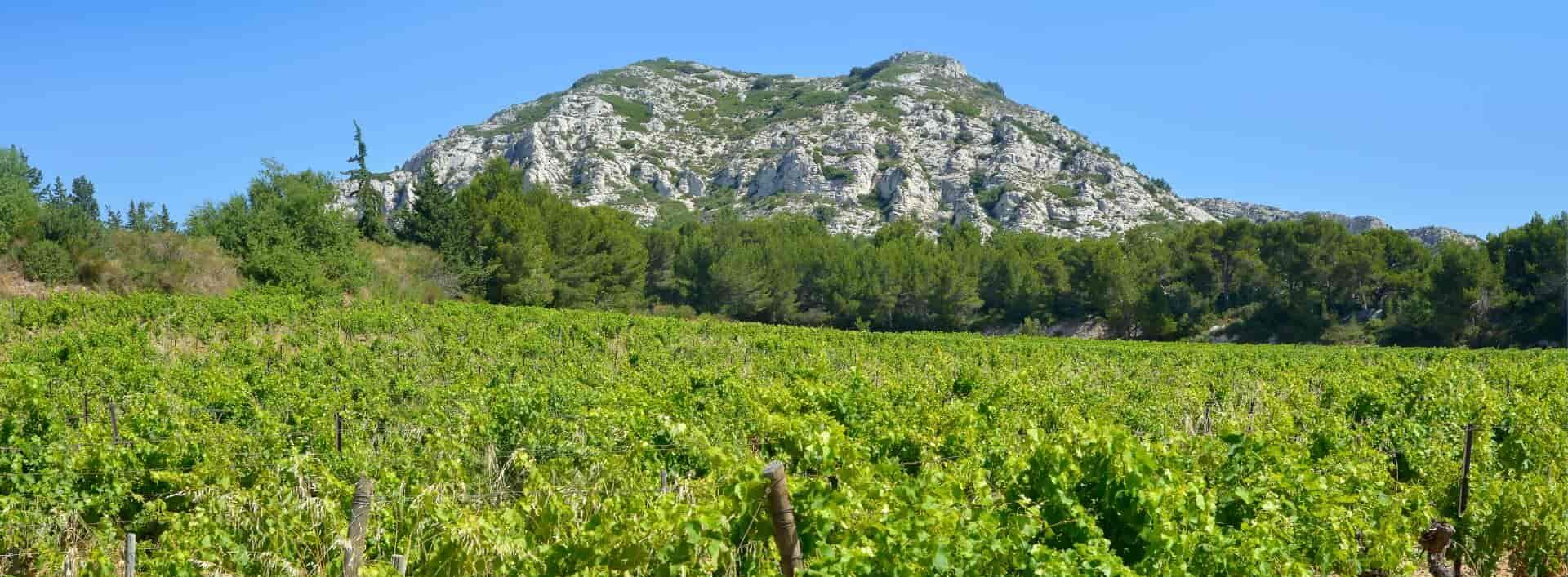 Our selection of the best activities in the Alpilles