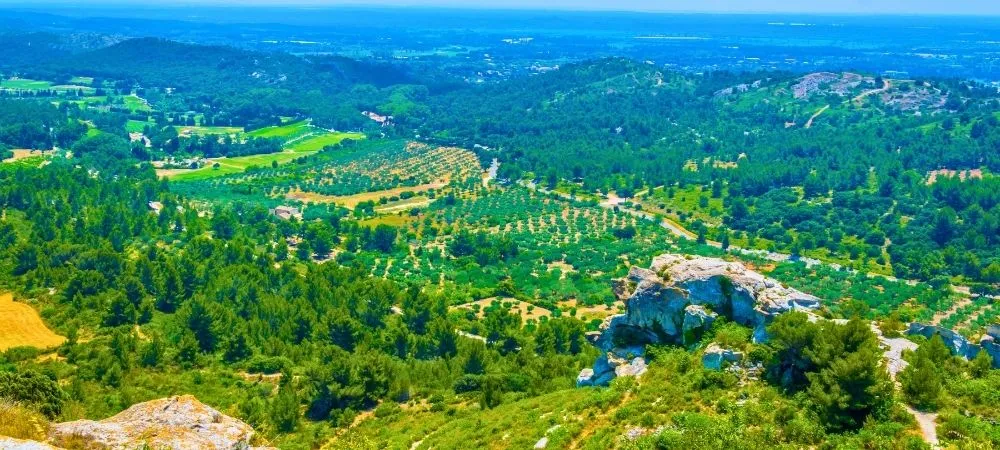 La vallongue - Aureille