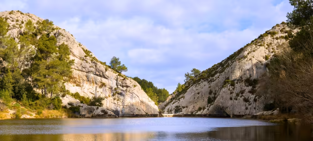 Le Parc Naturel Régional des Alpilles : Votre Évasion Nature et Culture depuis Saint-Rémy-de-Provence